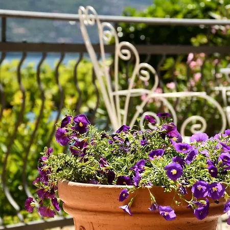 Ada Argegno, Lake Como View Argegno